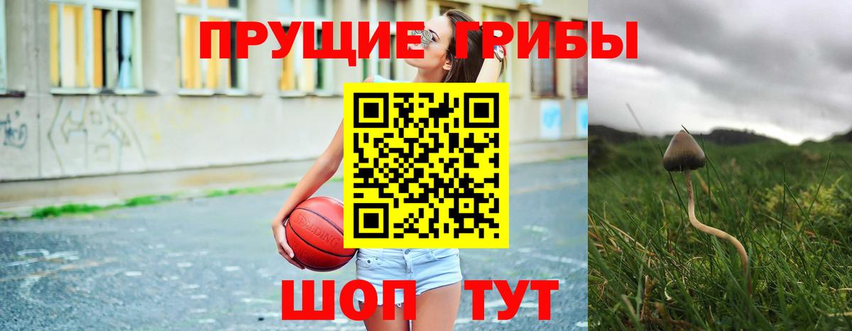 Псилоцибиновые грибы мухоморы Нарьян-Мар